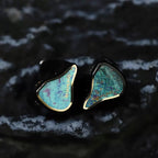 Used / open-box Shanling Regal IEM reference image
